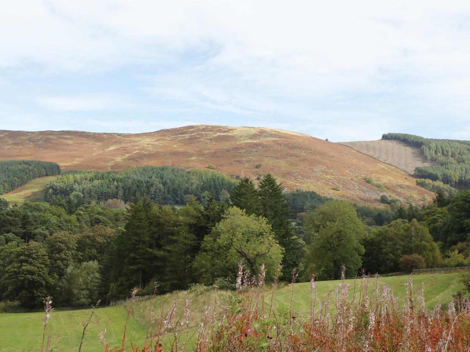 East Lodge Walkerburn Exteriör bild